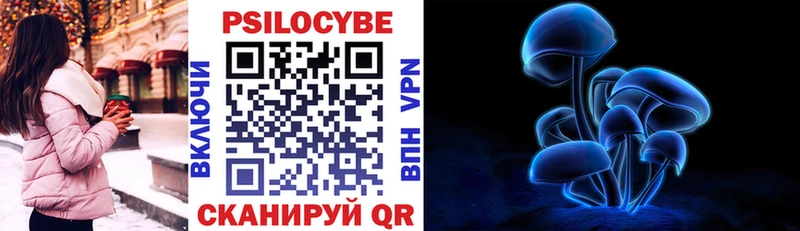 закладка  Ярославль  Галлюциногенные грибы мухоморы 