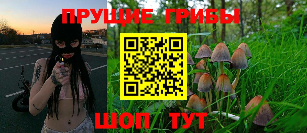 где продают   Галлюциногенные грибы Magic Shrooms  Ярославль  Галлюциногенные грибы ЛСД 