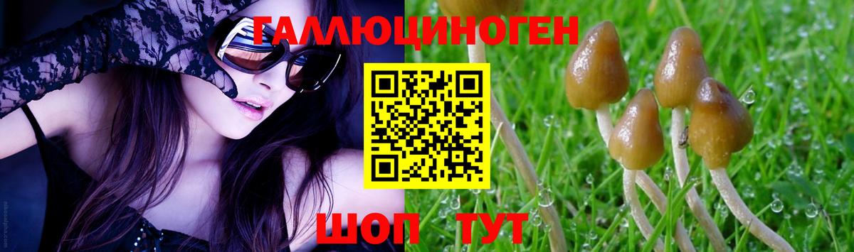 Галлюциногенные грибы прущие грибы Ярославль